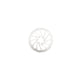 HP16 stainless steel Ø160mm brake disc with 6 brake disc bolts