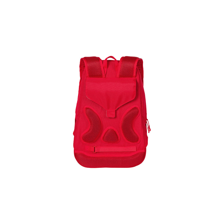 Basil Flex Backpack Bicycle bagcage carrier Red