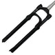 Forcella anteriore Rockshox Judy Silver 29 T100 disco conico nero originale