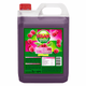 Touch sciroppo di frutta al lampone (5 litri)