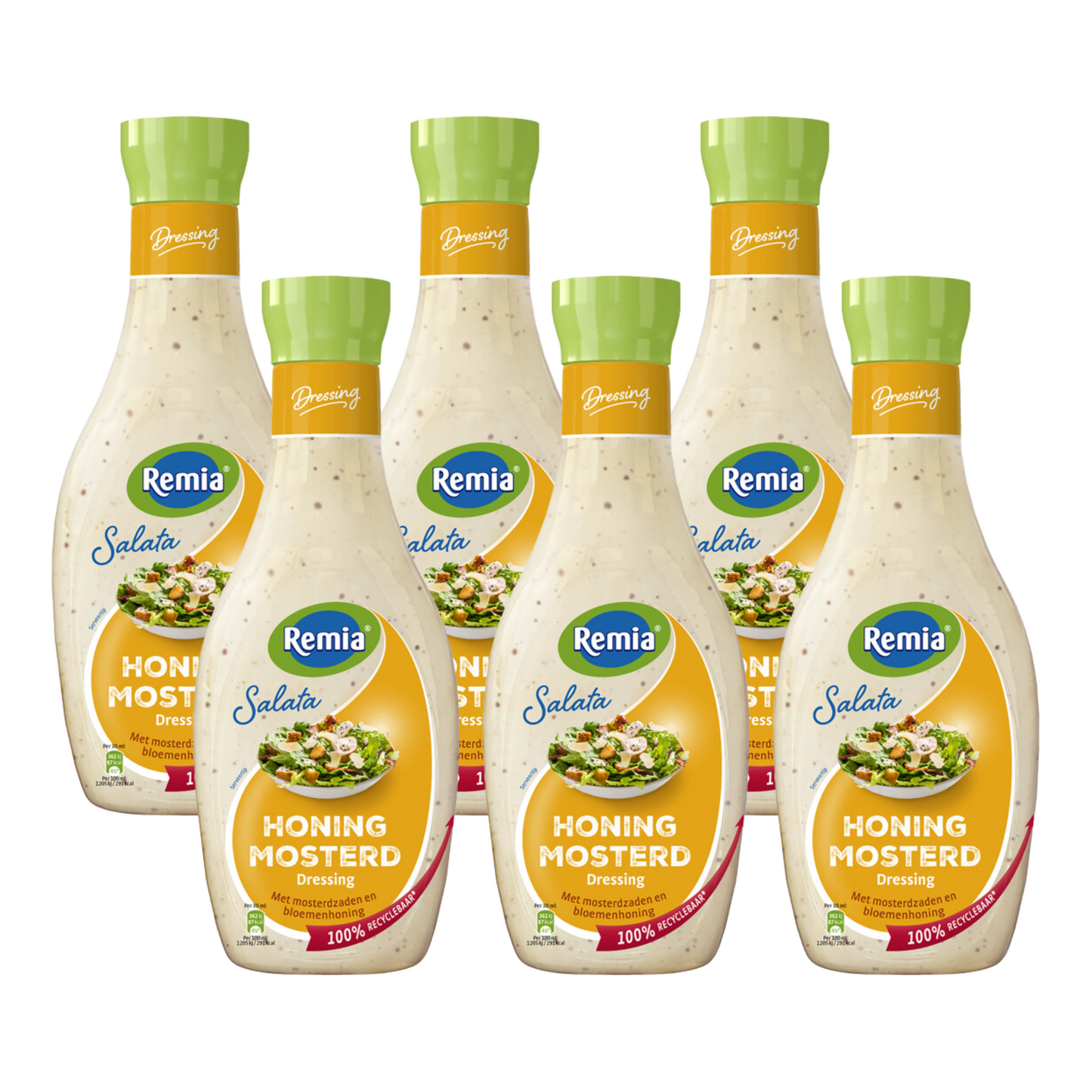 Remia salata senape al miele (6x 450ml)