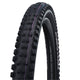 Schwalbe Tire Packy Chan Evol.Line 62-622 Sup.Gr.