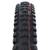Schwalbe Tire Big Betty Perf.line 62-584
