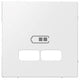 Merten placa central USB 2-V blanco polar