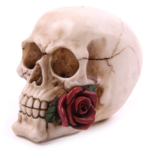 Skull con rose di accessorio per la casa