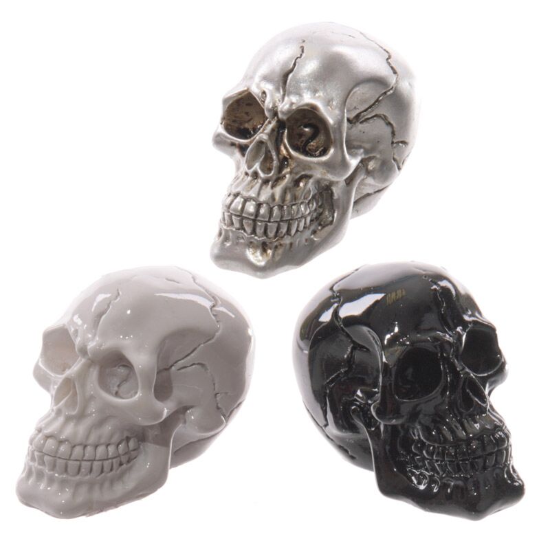 Piccolo orribile accessorio per la casa del cranio