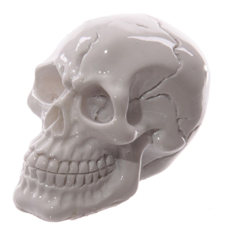 Piccolo orribile accessorio per la casa del cranio