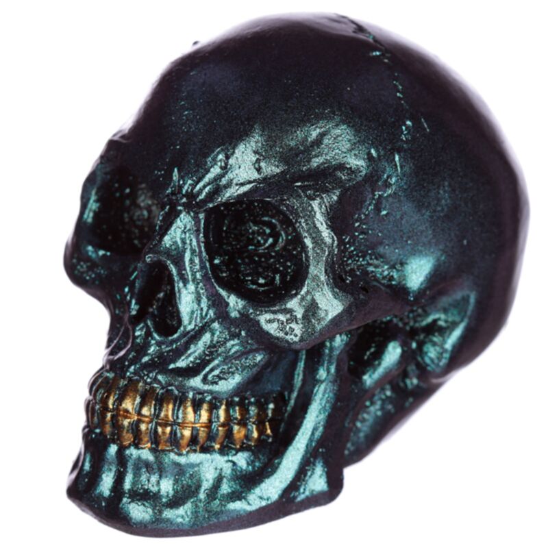 Accessorio per la casa del cranio di piccolo arcobaleno
