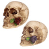 Calavera con rosa entre dientes accesorio para el hogar