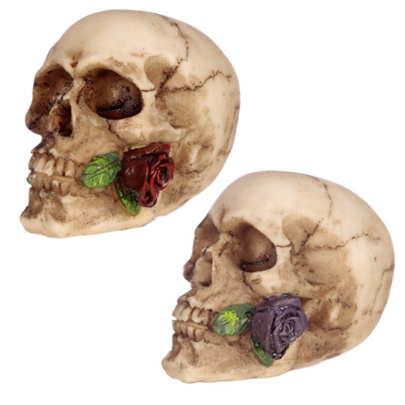 Calavera con rosa entre dientes accesorio para el hogar