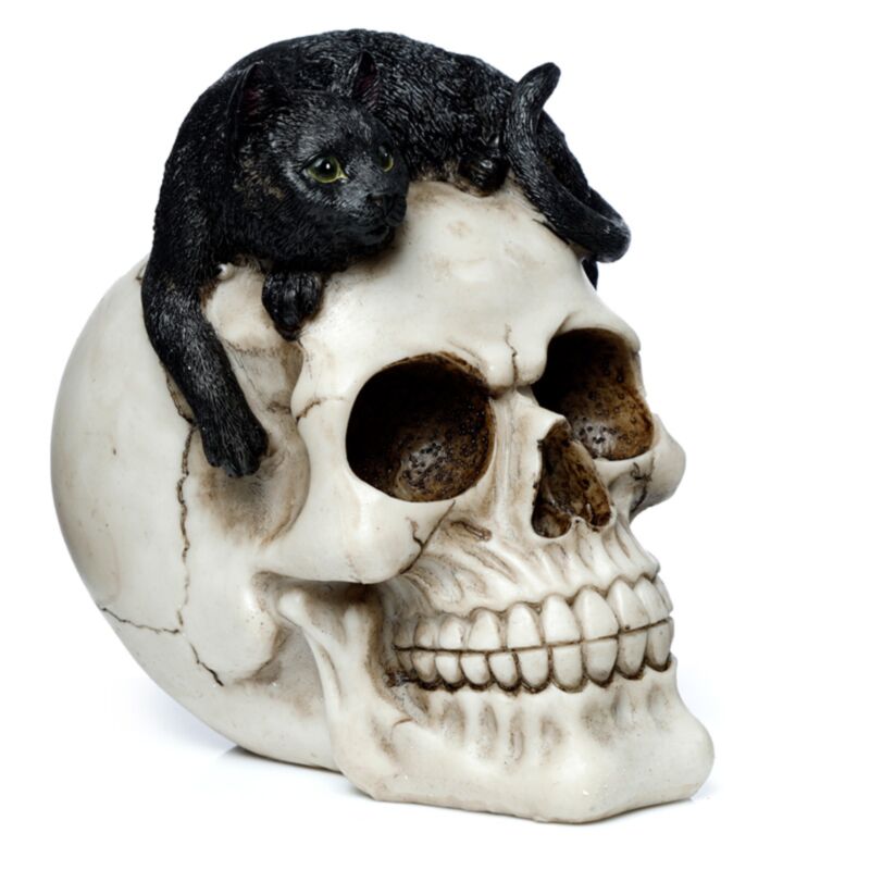 Skull con accessorio per la casa del gatto nero