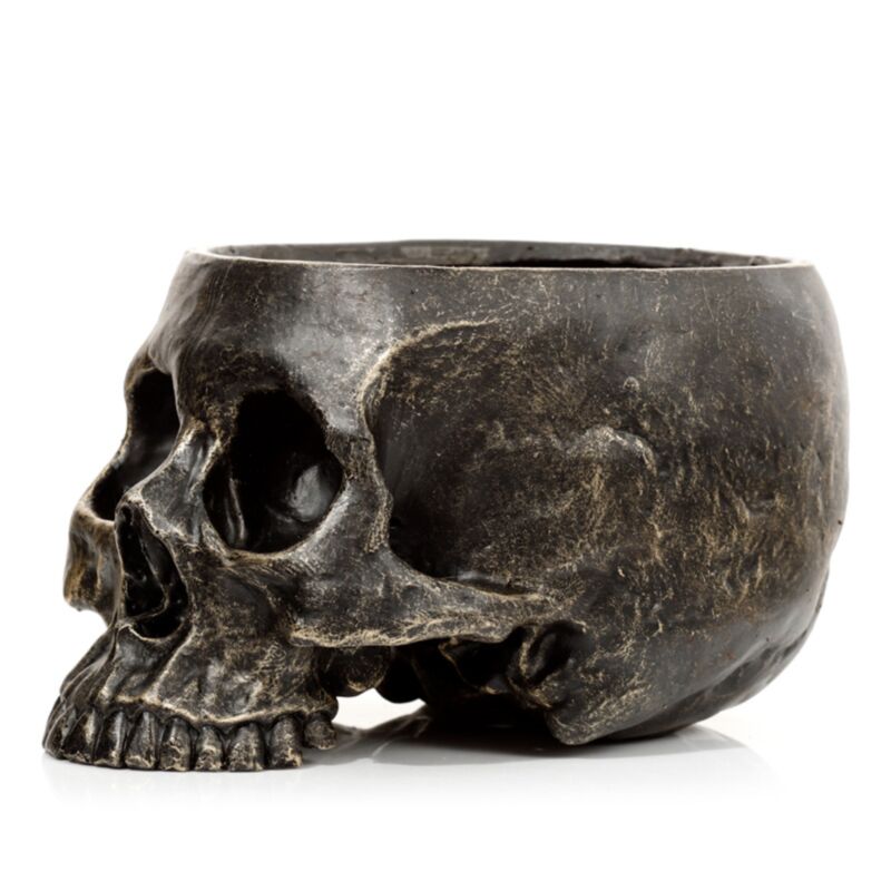 Skull Flowerpot all'interno