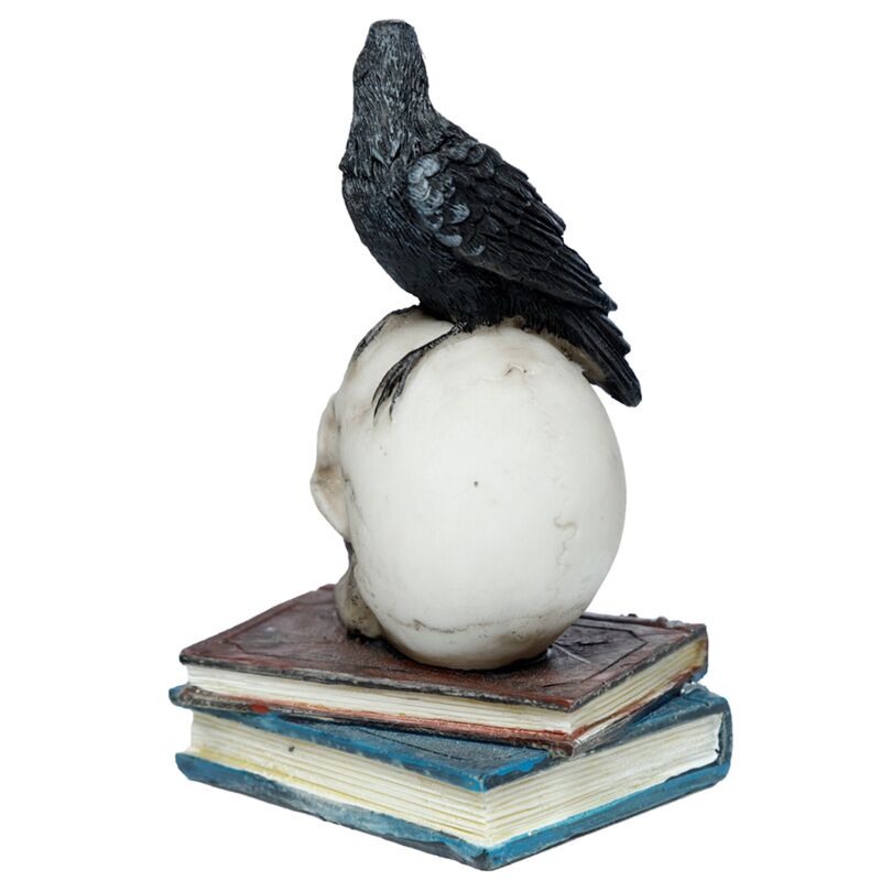 Kraai op schedels boeken woonaccessoire
