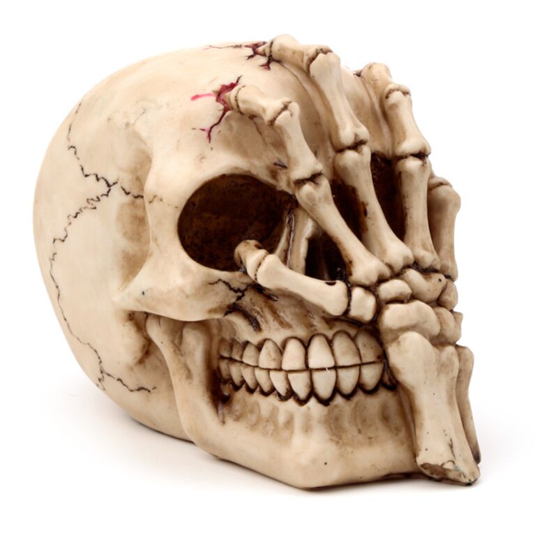 Cabeza de cráneo con accesorio para el hogar de Skeleton Claw