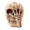 Cabeza de cráneo con accesorio para el hogar de Skeleton Claw