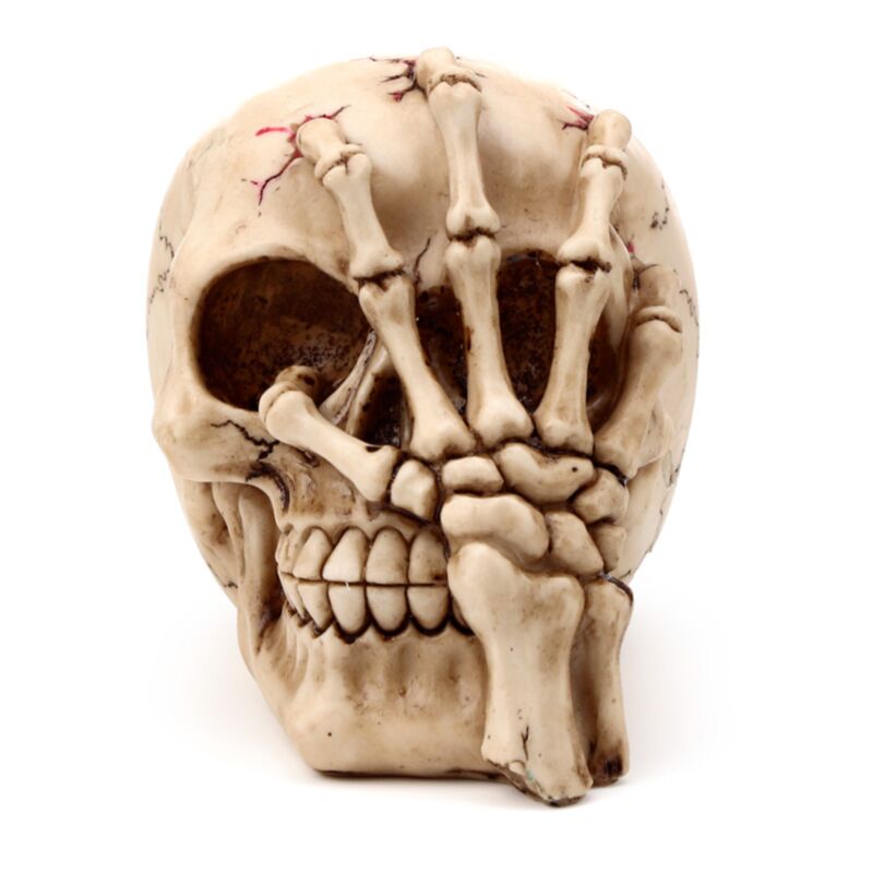 Cabeza de cráneo con accesorio para el hogar de Skeleton Claw