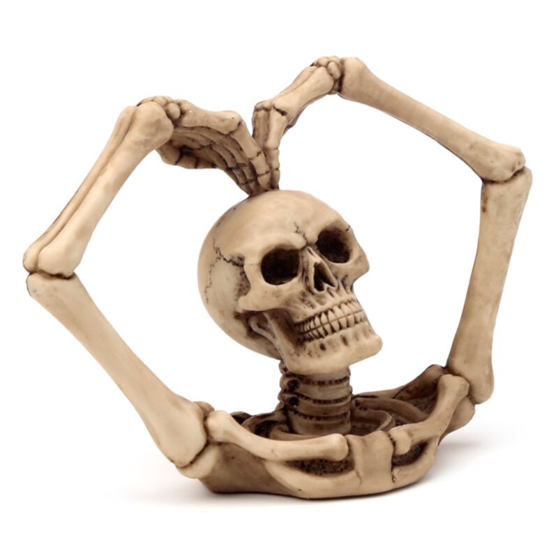 Accessorio per la casa del cuore del cranio e scheletro