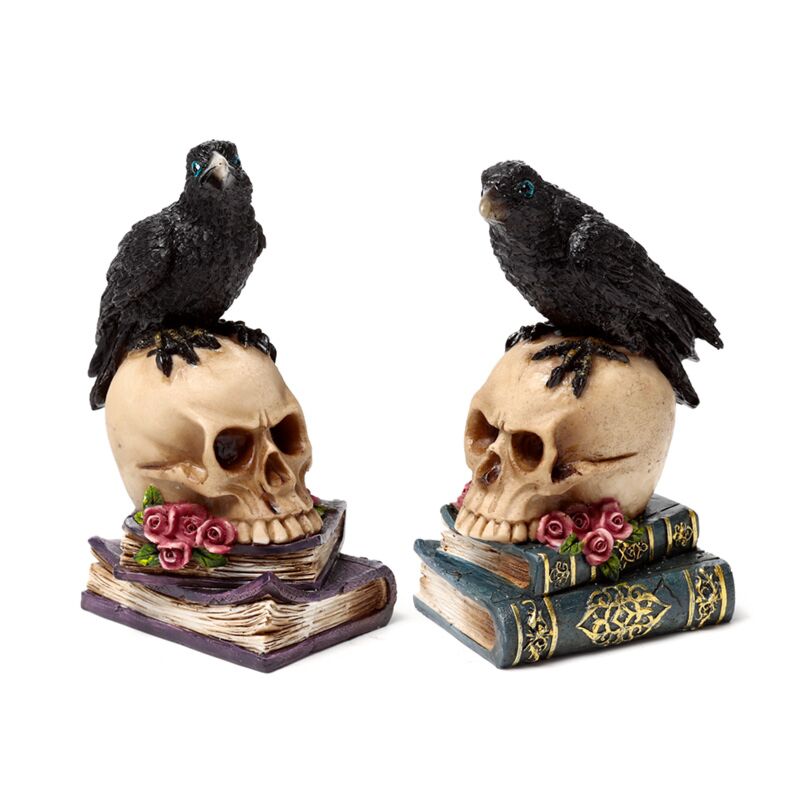 Book Crow seduto sul cranio