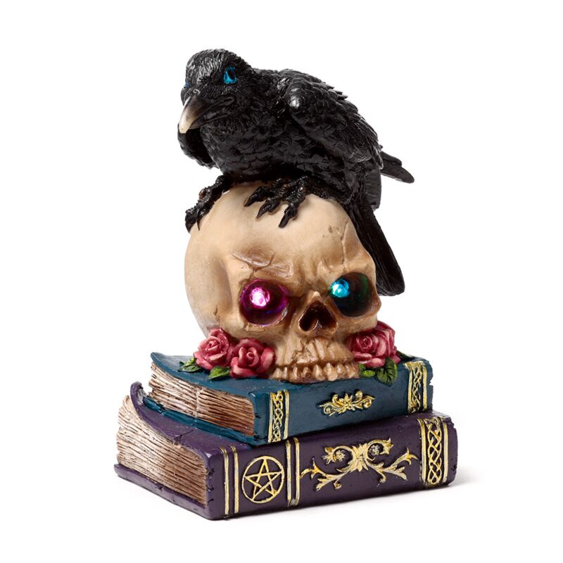 Crow appollaiato su libri di teschio a LED