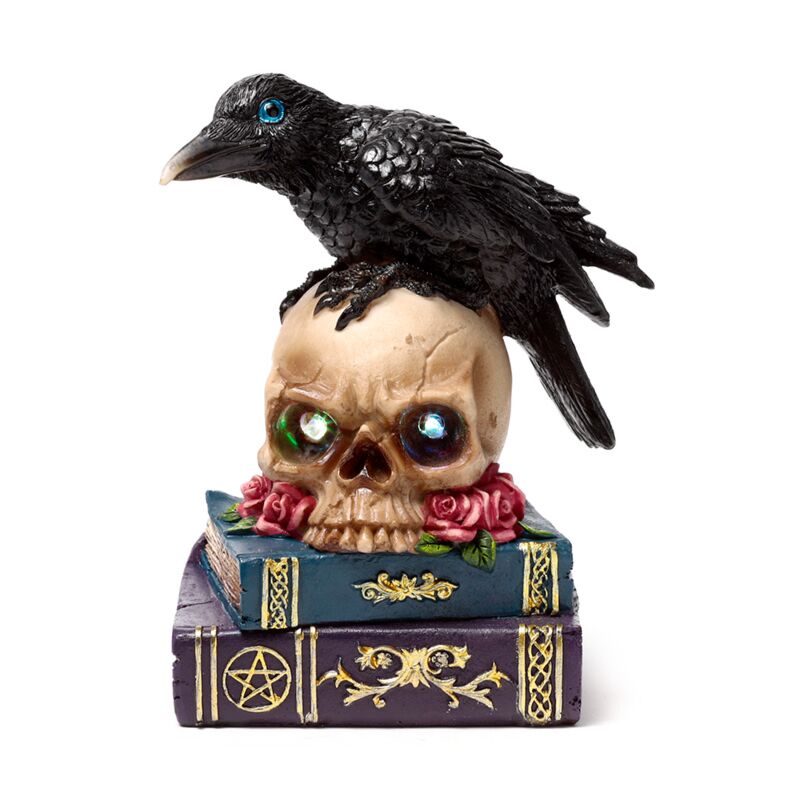 Crow appollaiato su libri di teschio a LED