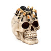 Cranio