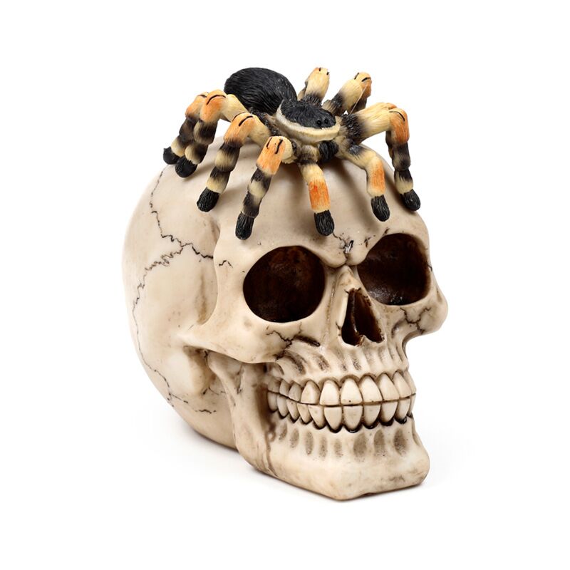 Cranio