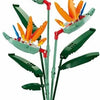 Sluban flowers strelitzia reginae aiton (m38-b1121c)
