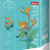 Sluban flowers strelitzia reginae aiton (m38-b1121c)