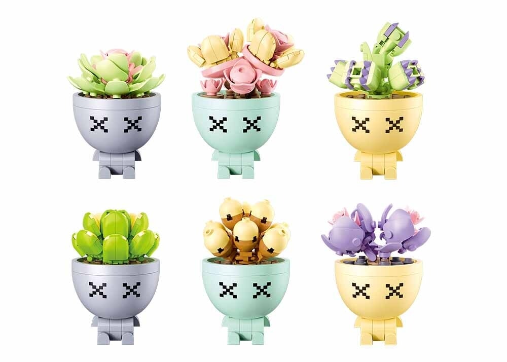 Expositor de plantas suculentas en maceta Sluban (m38-b1076)