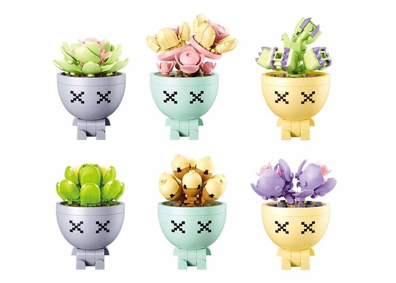 Espositore per piante succulente in vaso Sluban (m38-b1076).