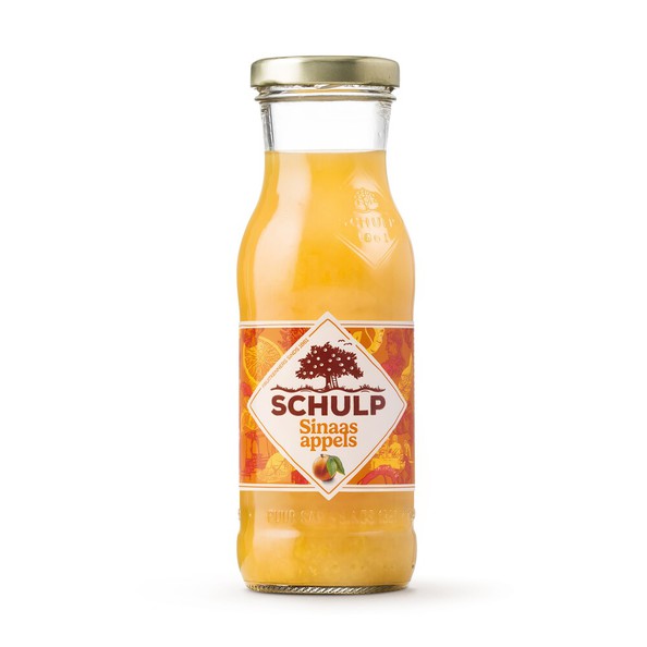 Bottiglia di vetro per succo d'arancia artigianale Schulp (15x 20cl)