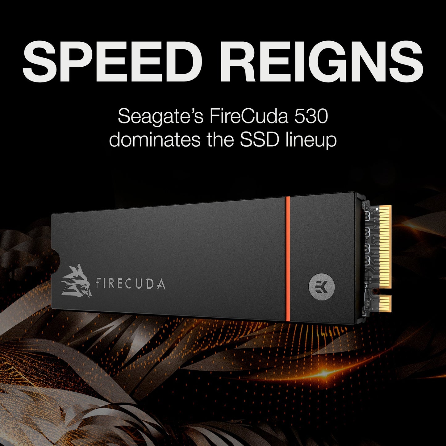 Seagate Firecuda 530 500 GB con dissipatore di calore