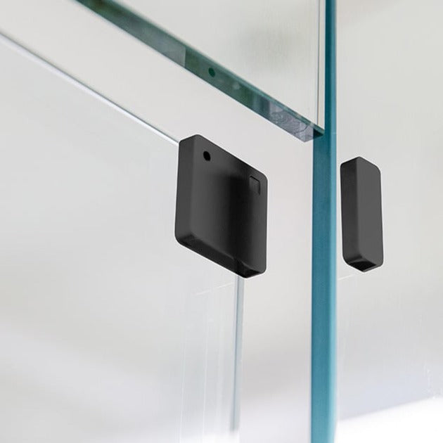 Shelly Blu por ventana