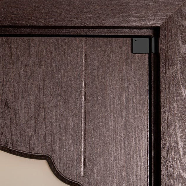 Shelly Blu por ventana