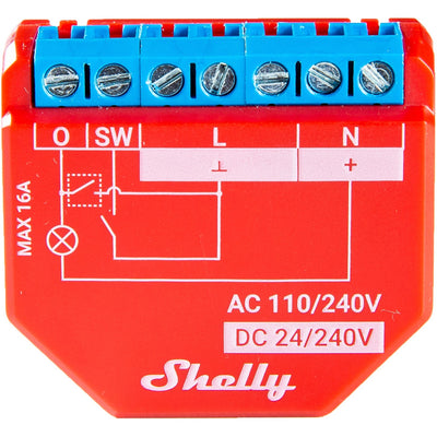 Shelly più 13:00