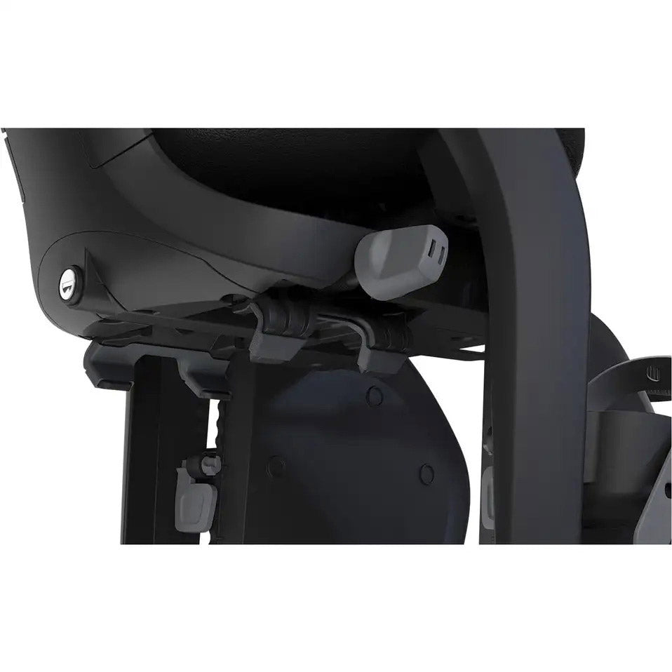 Thule yepp 2 asiento trasero maxi marco negro 12041201