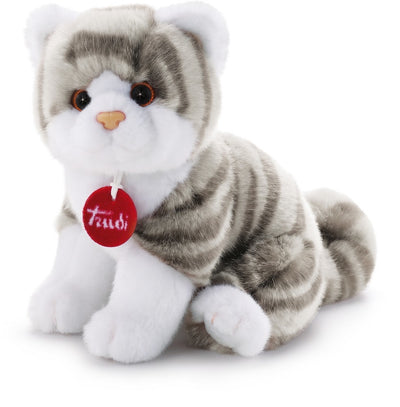 Kitten Brad bianco grigio 20 cm