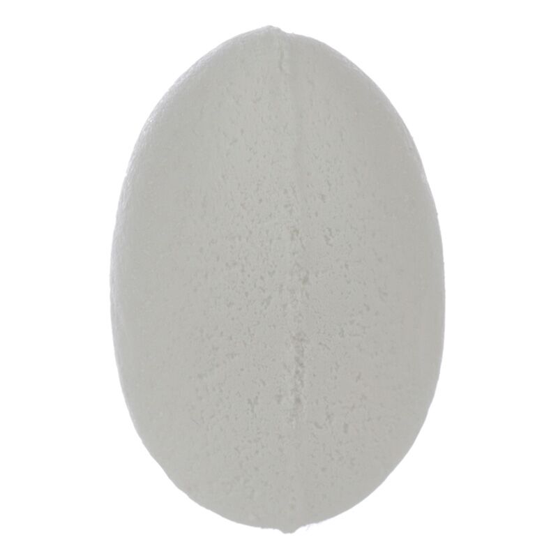 Zeeleven bulliciosa bomba