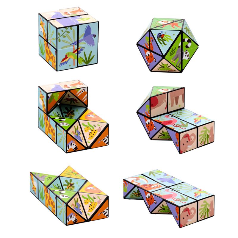 Son -Diverse Puzzle Cube Toys