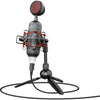 Trust GXT 244 Buzz USB Streaming Microfono