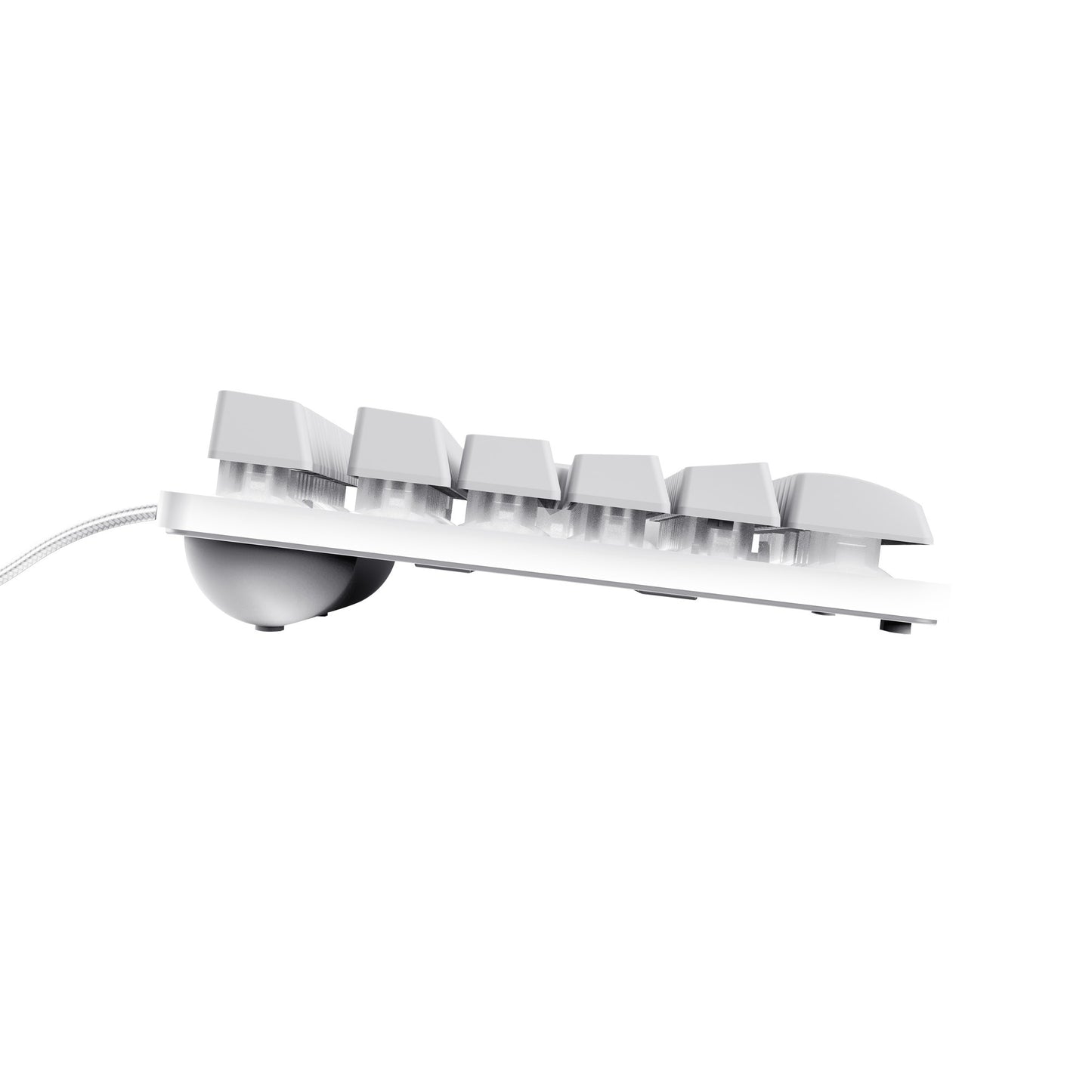 Fidati GXT 833W Thado