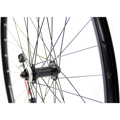 Ruota anteriore 28 HB-QC300 Disc Cl ZAC2000 Black SW SPK