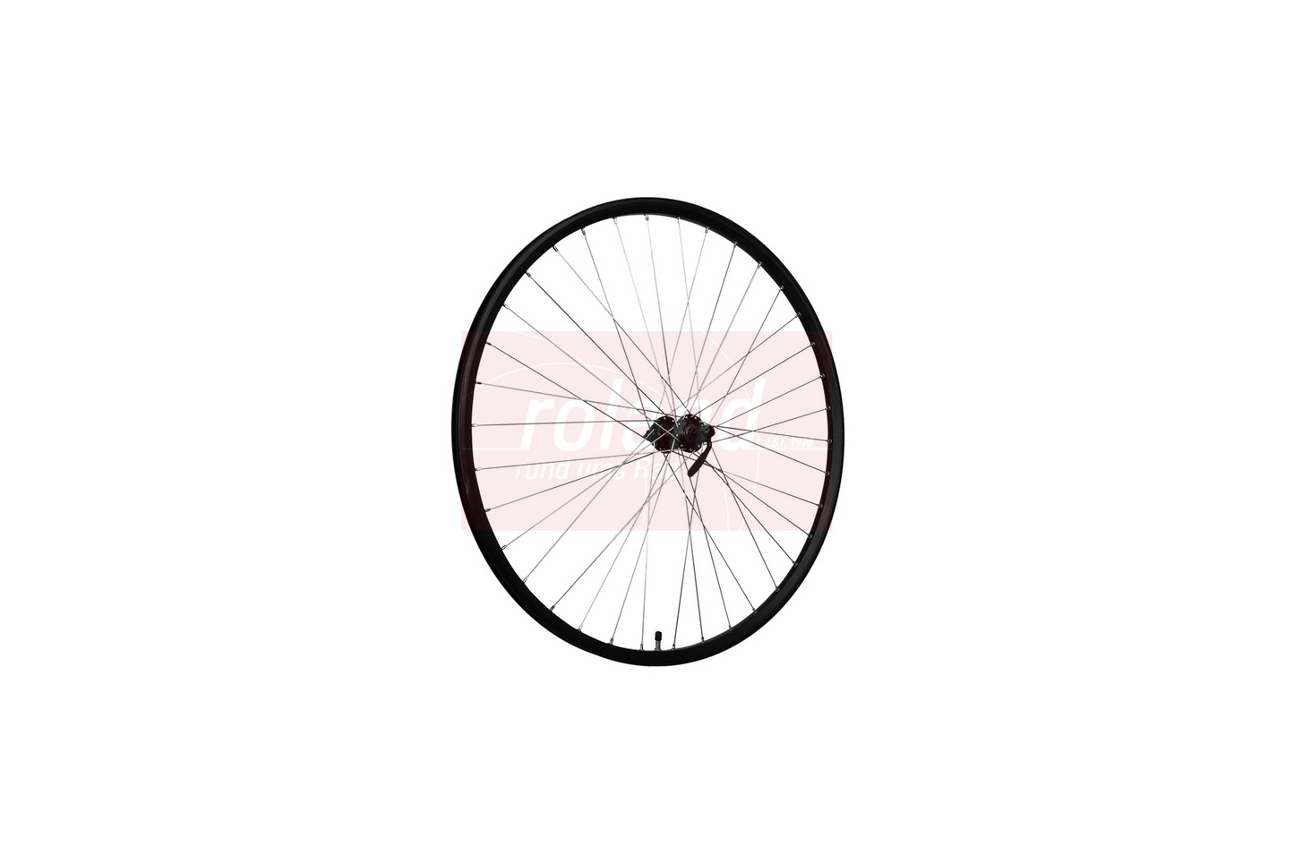 Ruota anteriore Roland 28 Taurus21 HBQC300