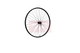 Roland Wheel Front Wheel 28 Ryde Rival21 HBM5100