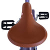 Volare Blossom Bicycle para niños - Niñas - 20 pulgadas - Púrpura - Dos frenos de mano