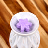 Conjunto de campos de lavanda de 6 melts de cera