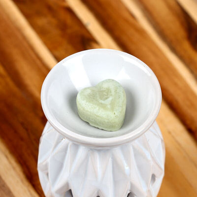 Nag champa set van 6 waxmelts