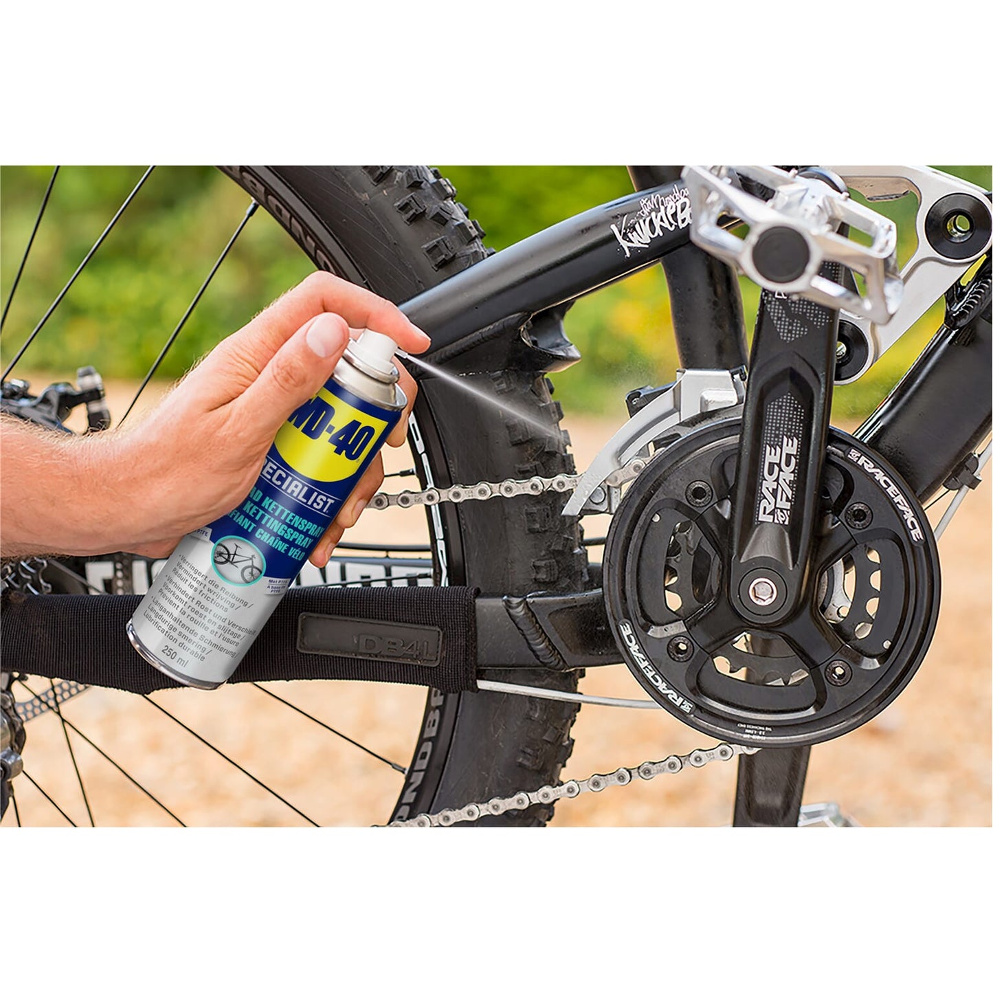 Painla in bicicletta specializzata in bicicletta WD40 250 ml