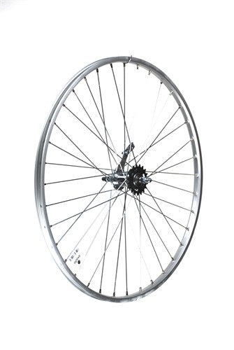 Ruota posteriore Roland Werke 28 622 x 24 - Rimuovi Ventura - 36 fori 13g - argento
