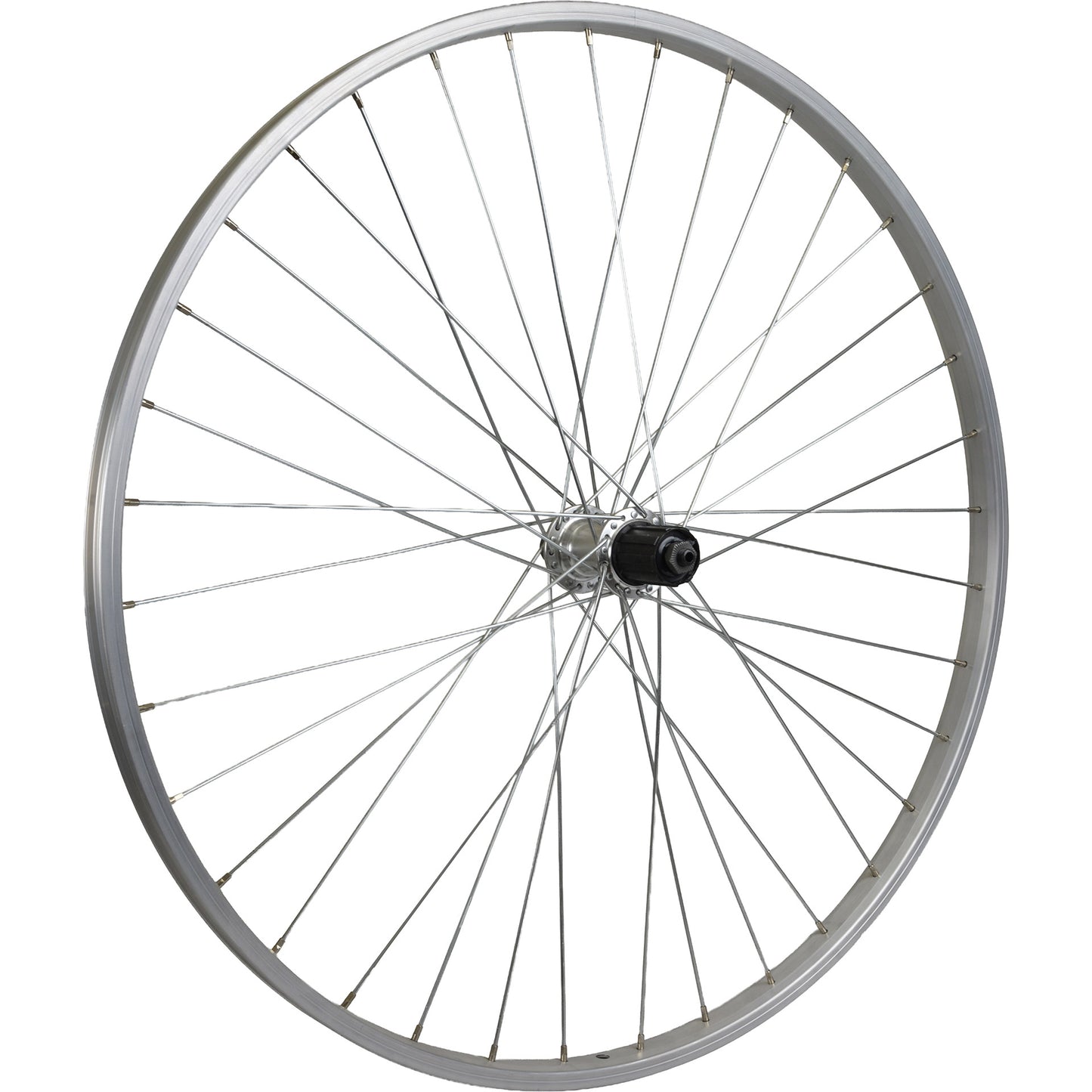 Ruota posteriore Roland mach1 28 8v qr alu silver